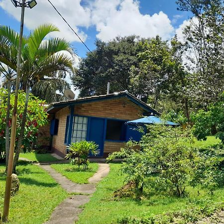 Pousada Balneario Cachoeira Do Moinho Belo Vale Εξωτερικό φωτογραφία