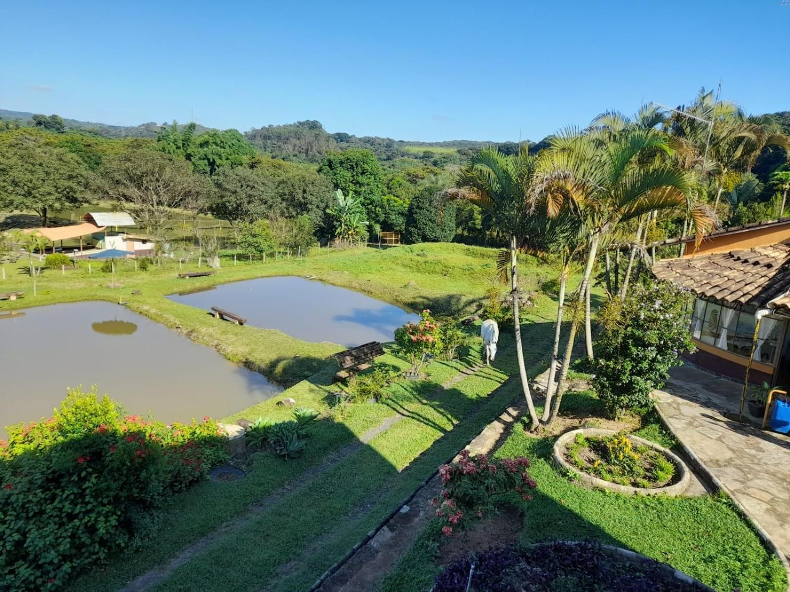 Pousada Balneario Cachoeira Do Moinho Belo Vale Εξωτερικό φωτογραφία